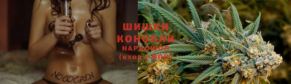 дживик Балахна