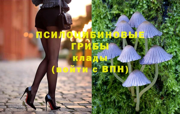 дживик Балахна
