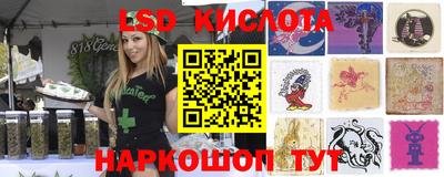 дмт Жуковский