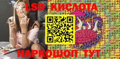PSILOCYBIN Заводоуковск