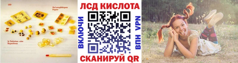 купить наркотики сайты  Дальнегорск  Лсд 25 экстази ecstasy 