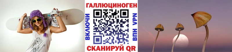 Галлюциногенные грибы Cubensis  купить наркоту  Дальнегорск 