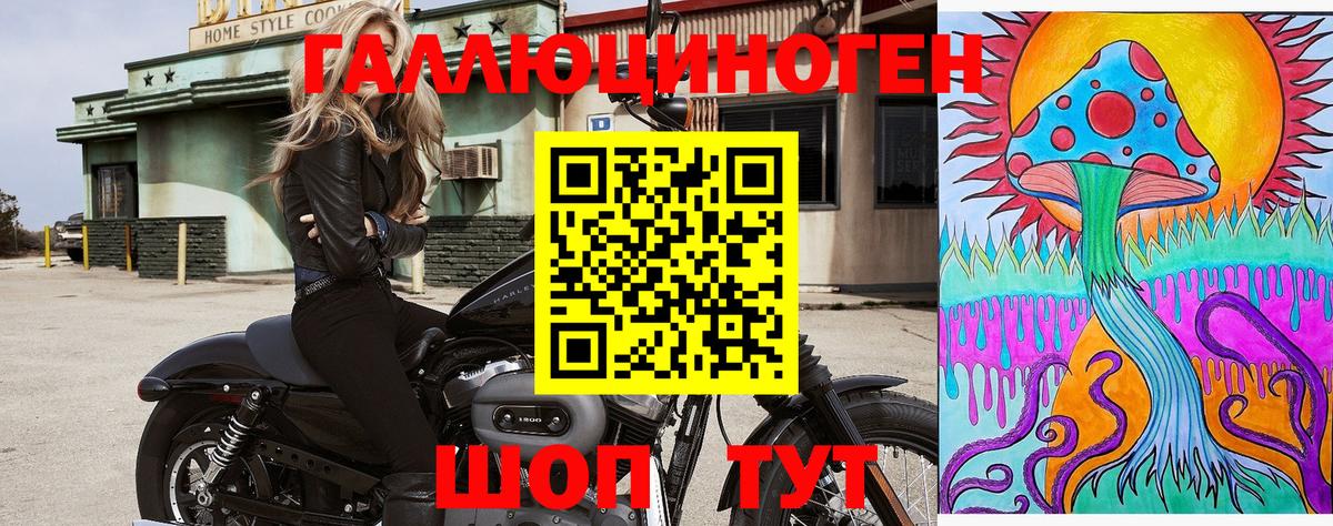 Псилоцибиновые грибы Psilocybine cubensis Дальнегорск