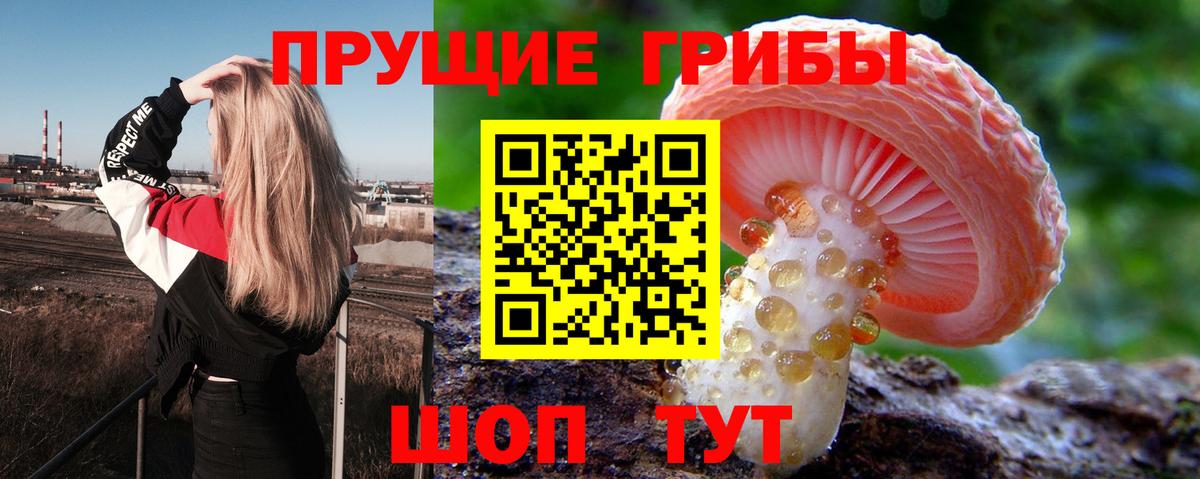 Галлюциногенные грибы Psilocybine cubensis  Галлюциногенные грибы Cubensis  Вход с VPN  Дальнегорск 