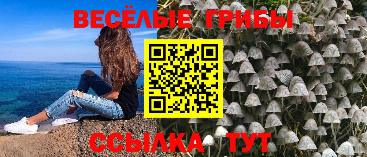 Галлюциногенные грибы Psilocybine cubensis  Галлюциногенные грибы Psilocybine cubensis  купить закладку  Дальнегорск 