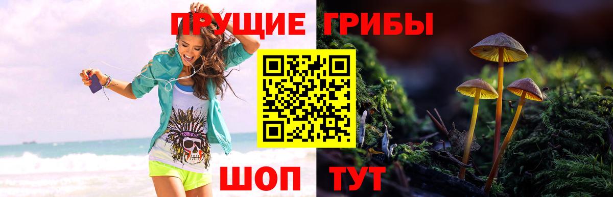Псилоцибиновые грибы мухоморы Дальнегорск