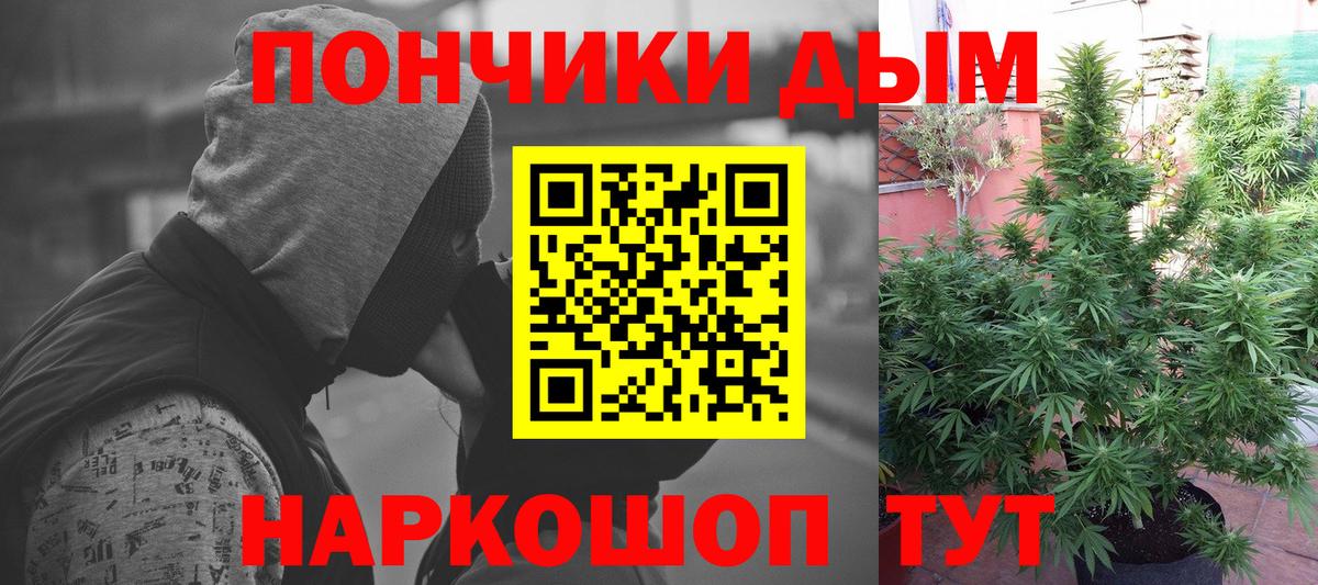 Бошки Шишки конопля  Шишки марихуана SATIVA & INDICA  Дальнегорск  Конопля Bruce Banner 